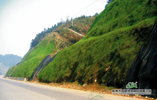 亚洲精品白浆高清久久久久久