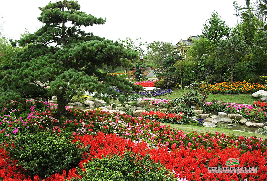 亚洲精品白浆高清久久久久久