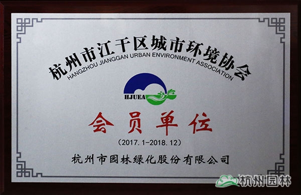 亚洲精品白浆高清久久久久久