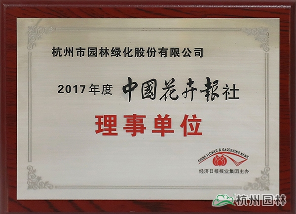 亚洲精品白浆高清久久久久久