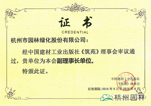 亚洲精品白浆高清久久久久久