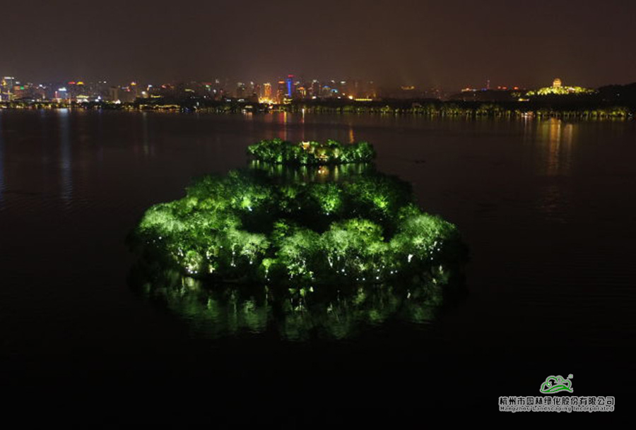 亚洲精品白浆高清久久久久久