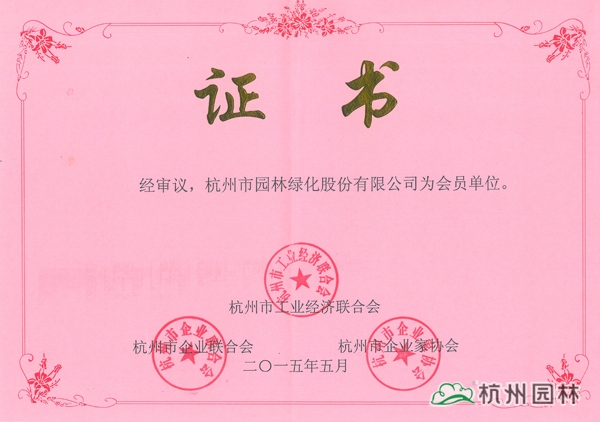 亚洲精品白浆高清久久久久久