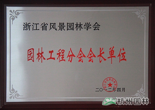 亚洲精品白浆高清久久久久久