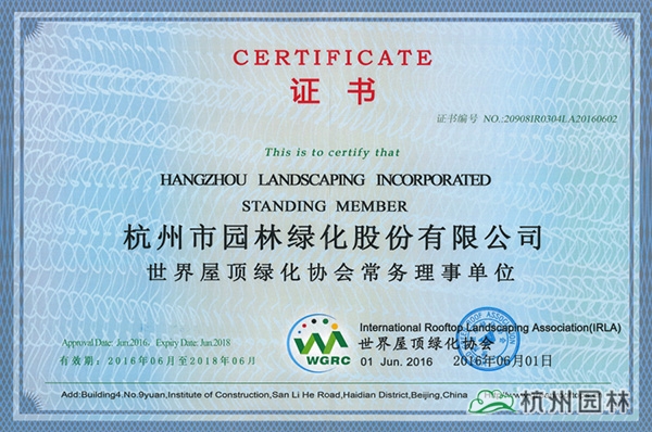 亚洲精品白浆高清久久久久久