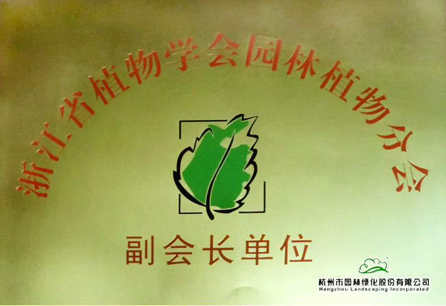 亚洲精品白浆高清久久久久久