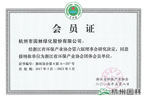 亚洲精品白浆高清久久久久久