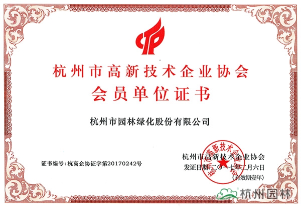 亚洲精品白浆高清久久久久久