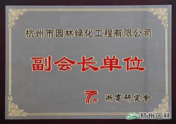 亚洲精品白浆高清久久久久久