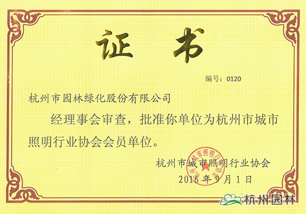 亚洲精品白浆高清久久久久久