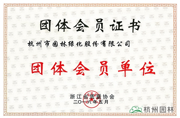 亚洲精品白浆高清久久久久久