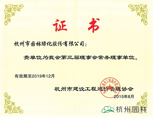 亚洲精品白浆高清久久久久久