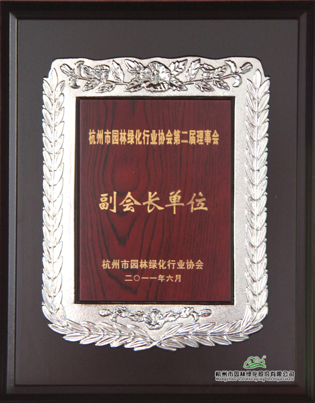 亚洲精品白浆高清久久久久久