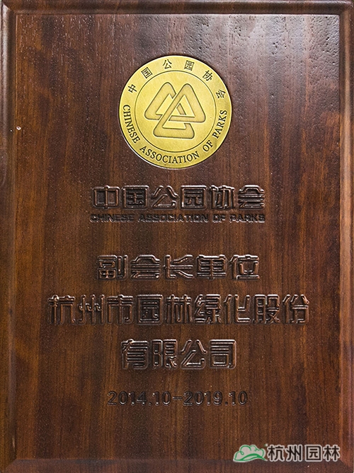 亚洲精品白浆高清久久久久久