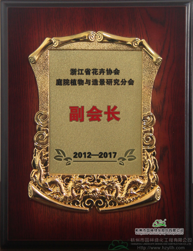 亚洲精品白浆高清久久久久久