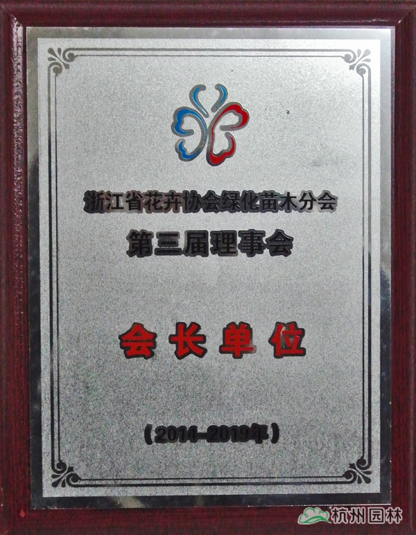 亚洲精品白浆高清久久久久久