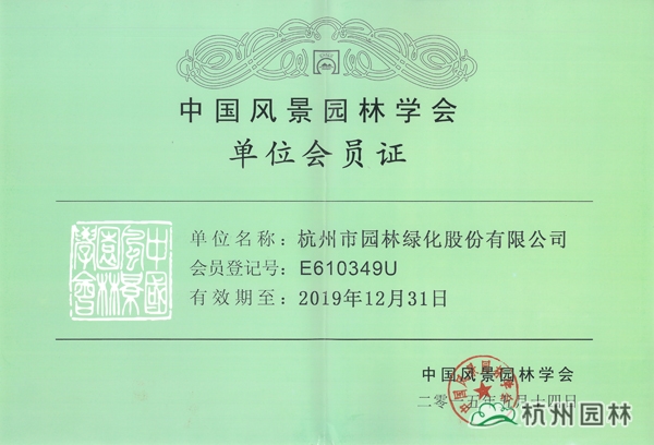 亚洲精品白浆高清久久久久久