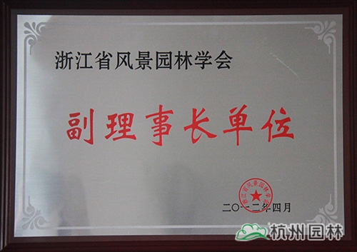 亚洲精品白浆高清久久久久久