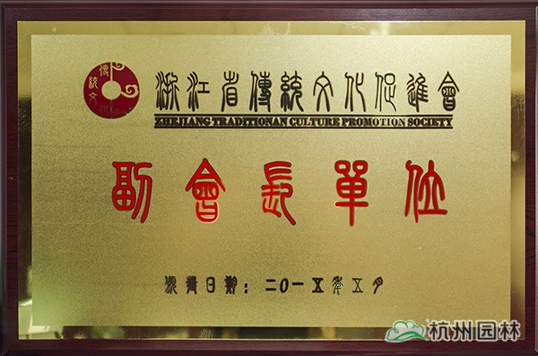 亚洲精品白浆高清久久久久久