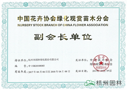 亚洲精品白浆高清久久久久久