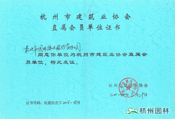 亚洲精品白浆高清久久久久久