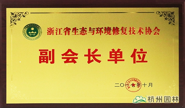 亚洲精品白浆高清久久久久久