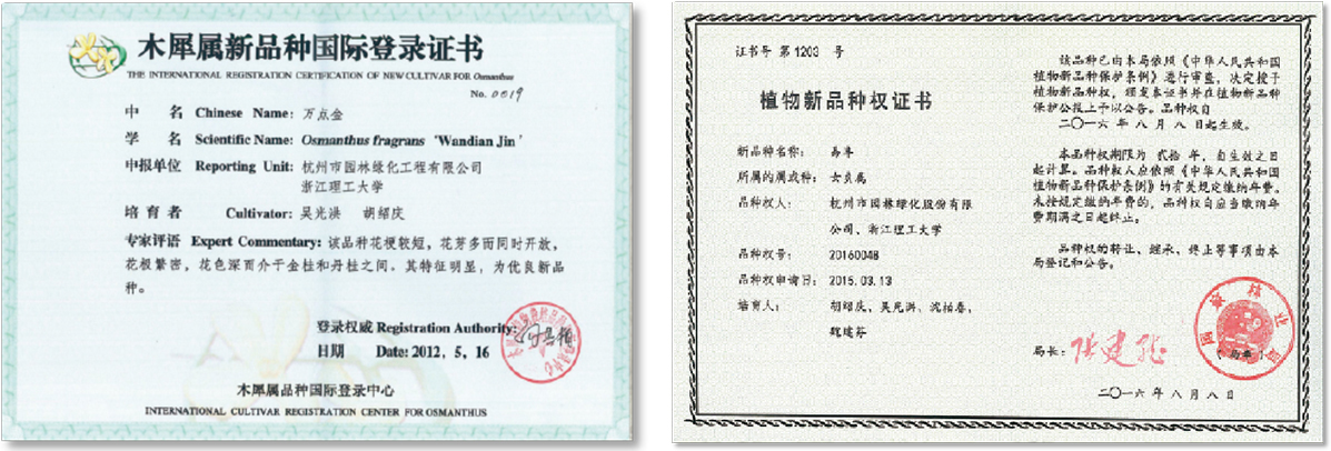 亚洲精品白浆高清久久久久久