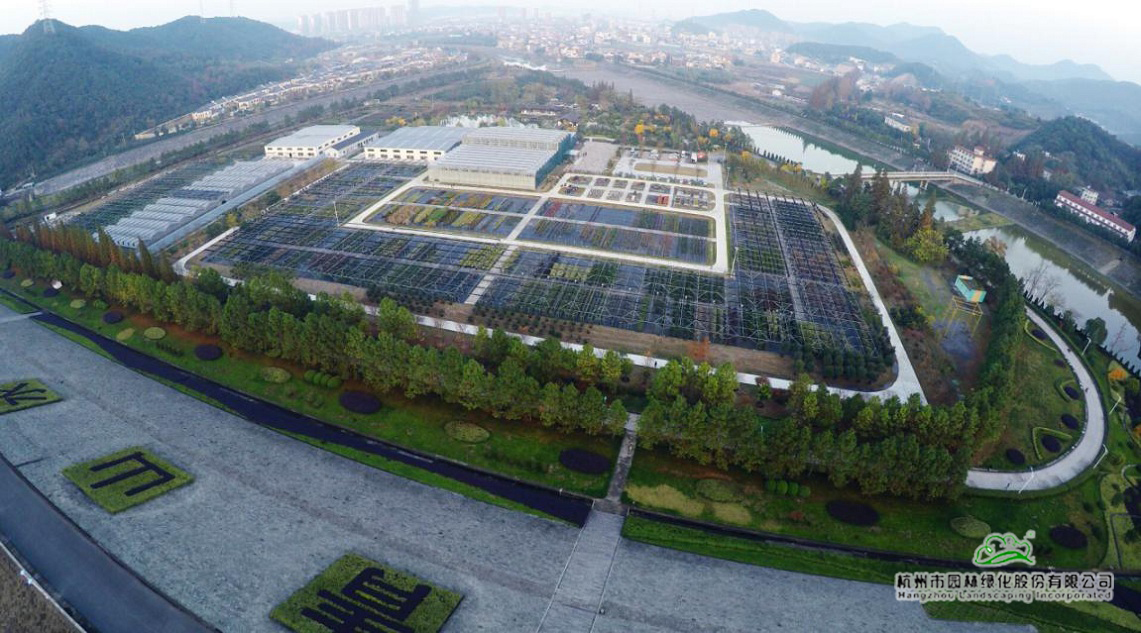 亚洲精品白浆高清久久久久久