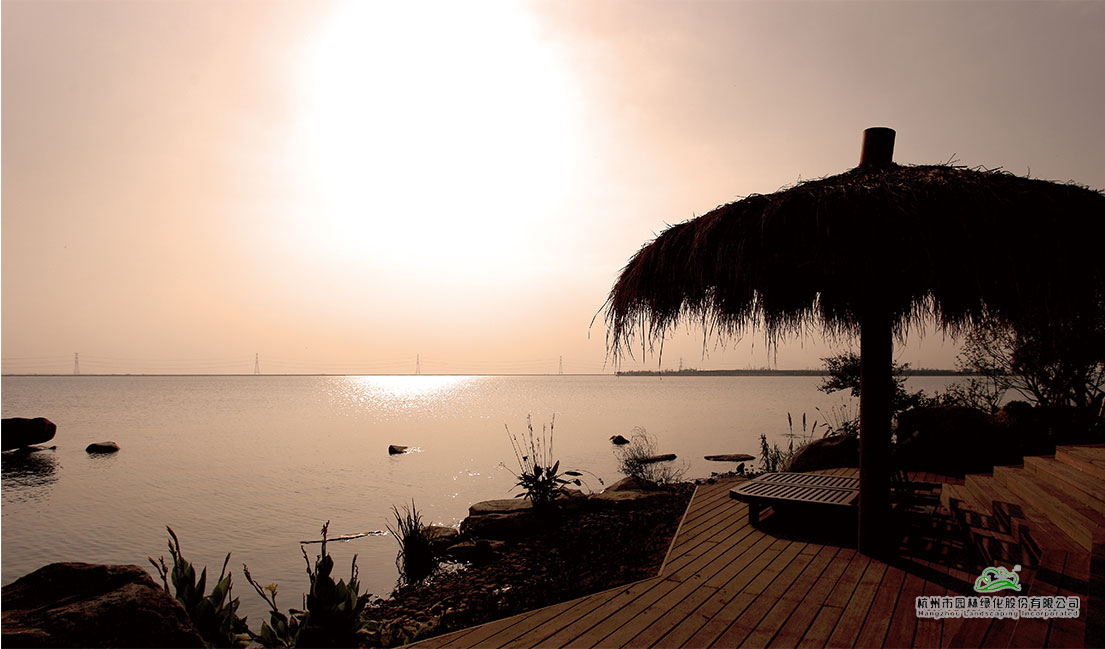 亚洲精品白浆高清久久久久久