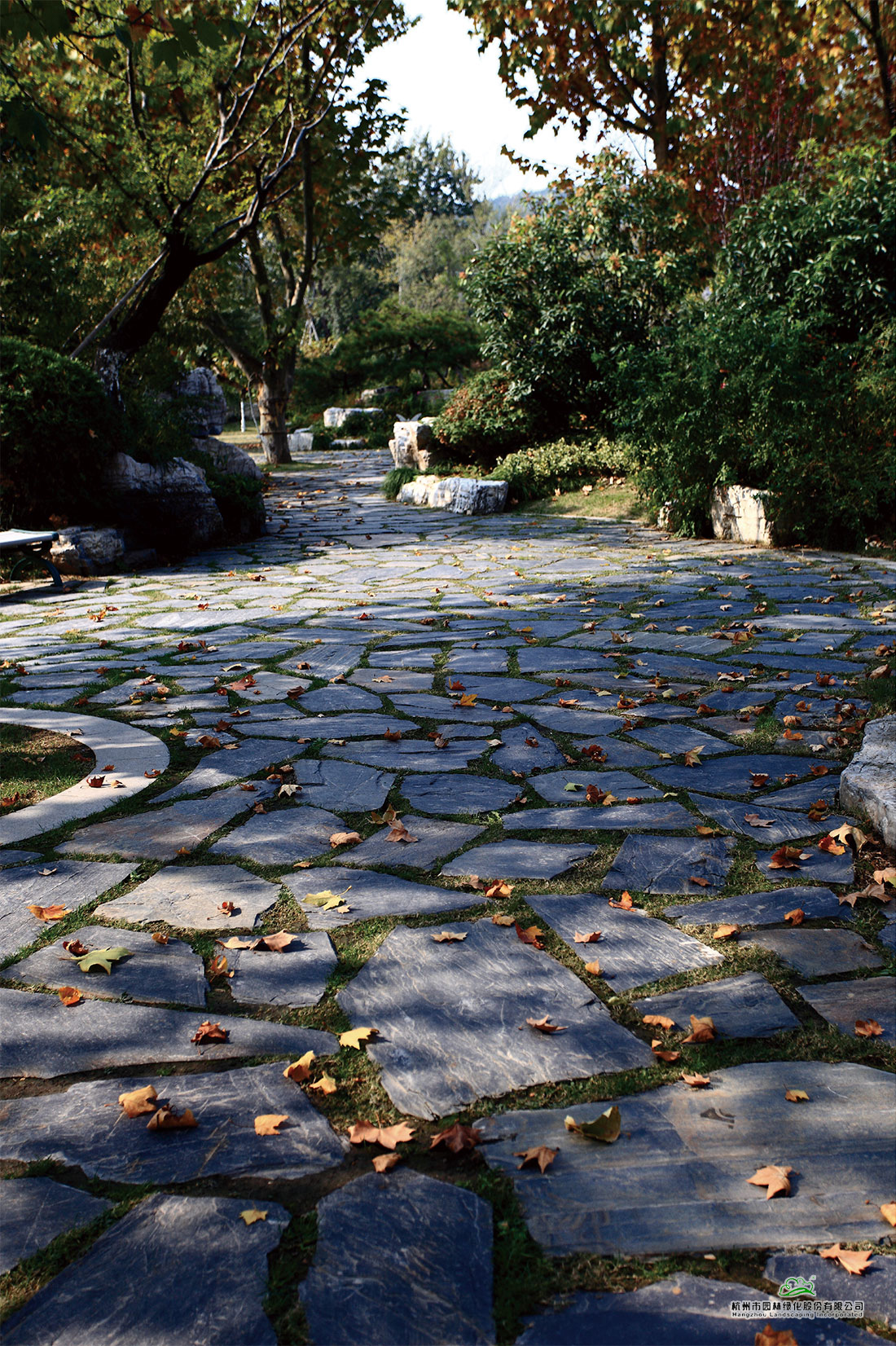 亚洲精品白浆高清久久久久久