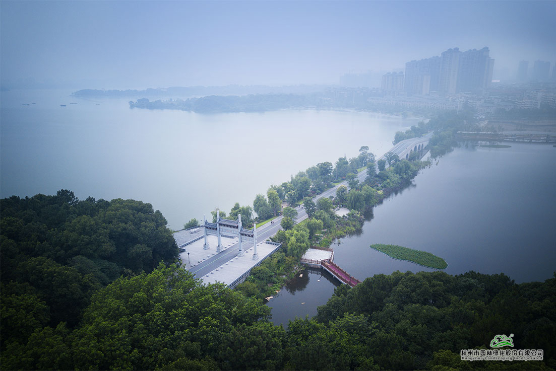 亚洲精品白浆高清久久久久久