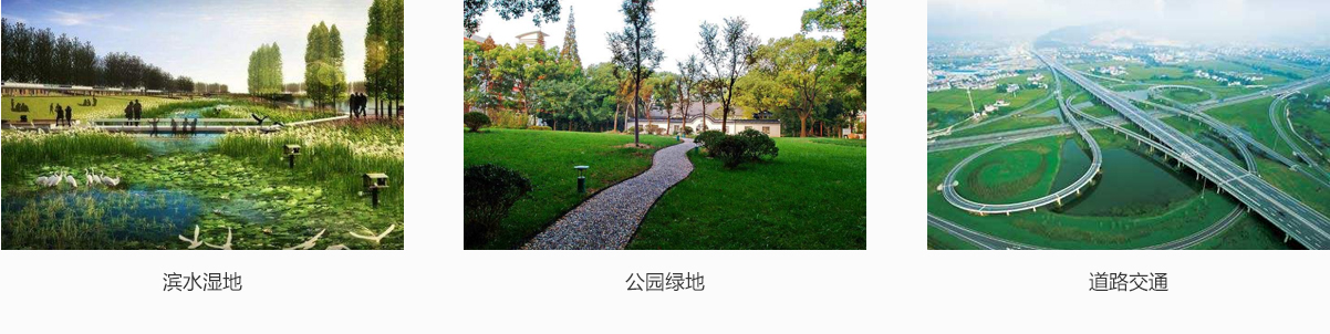 亚洲精品白浆高清久久久久久