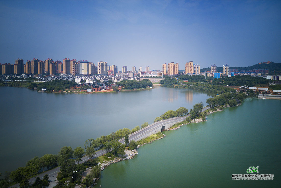 亚洲精品白浆高清久久久久久