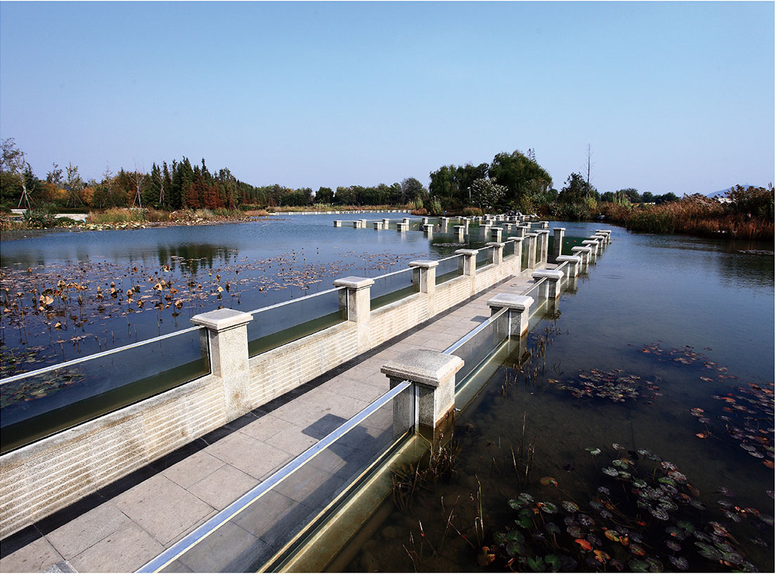 亚洲精品白浆高清久久久久久