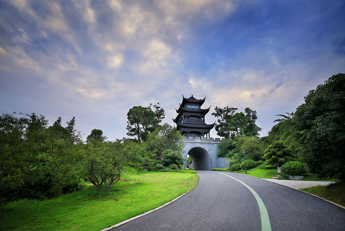 亚洲精品白浆高清久久久久久