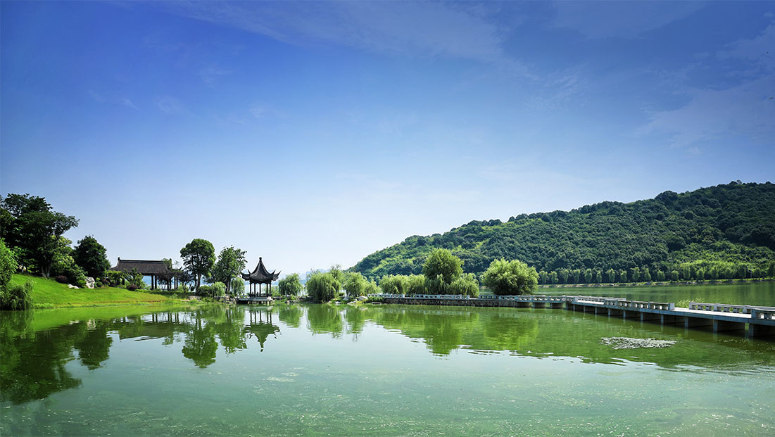 亚洲精品白浆高清久久久久久