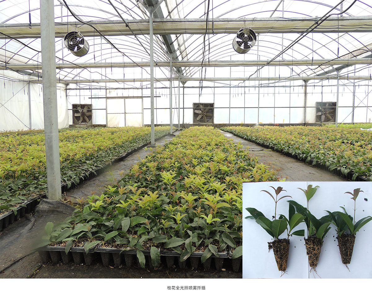 亚洲精品白浆高清久久久久久