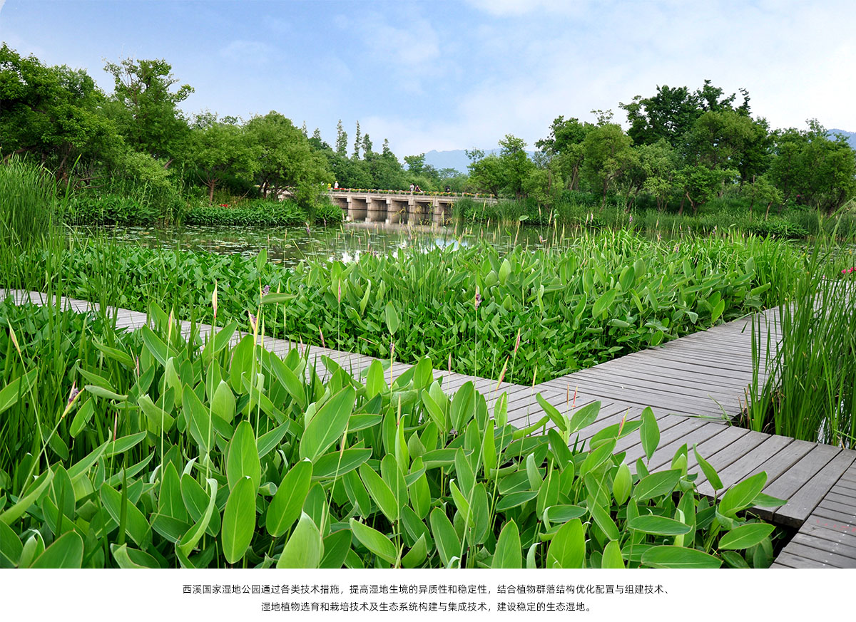 亚洲精品白浆高清久久久久久