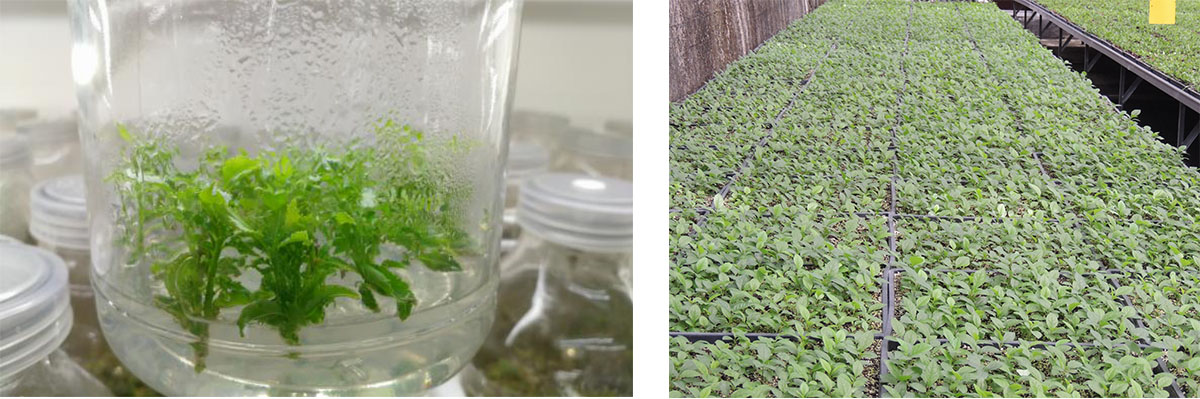 亚洲精品白浆高清久久久久久