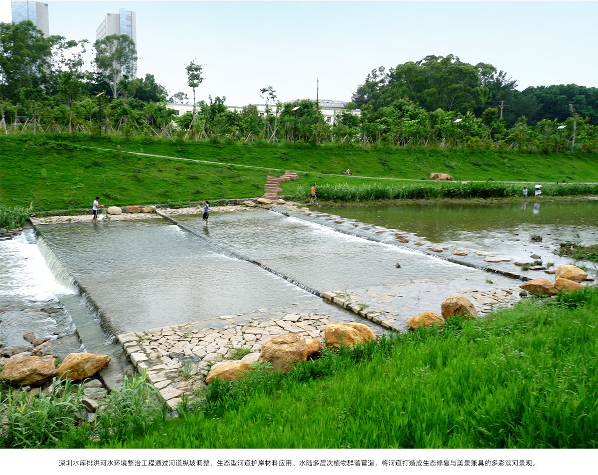 亚洲精品白浆高清久久久久久