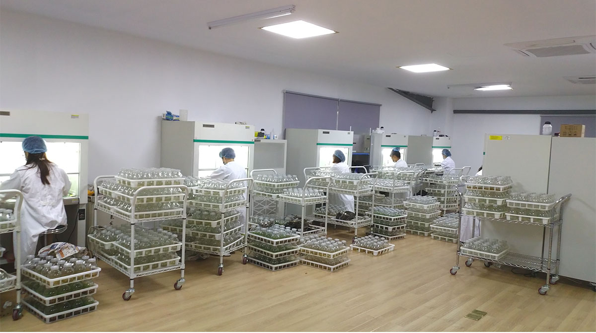 亚洲精品白浆高清久久久久久