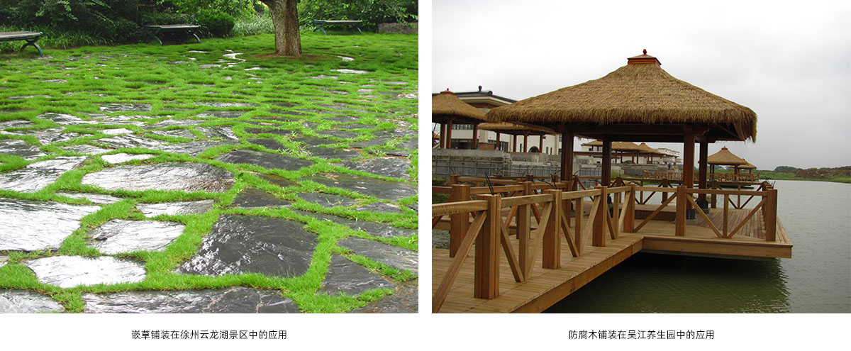 亚洲精品白浆高清久久久久久