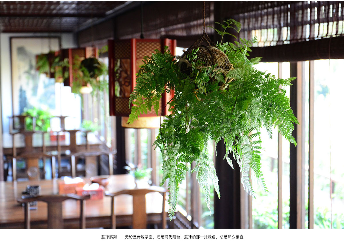 亚洲精品白浆高清久久久久久