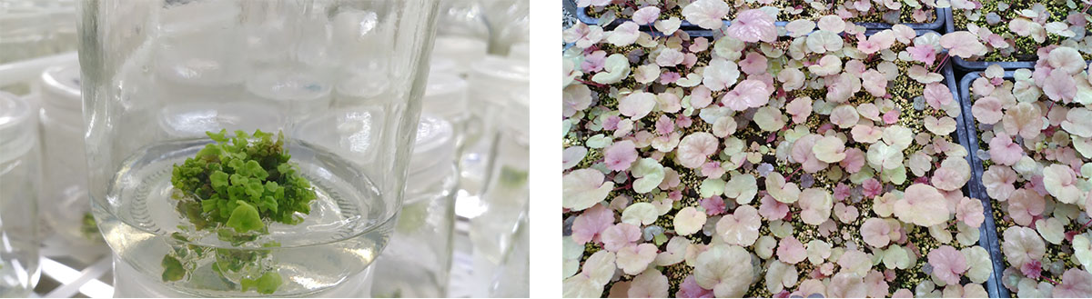 亚洲精品白浆高清久久久久久