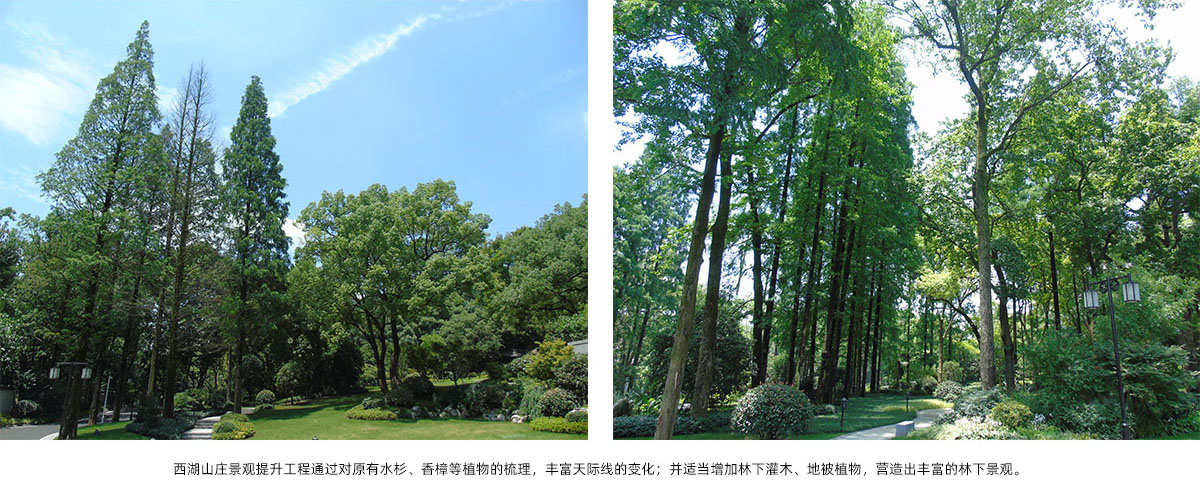 亚洲精品白浆高清久久久久久