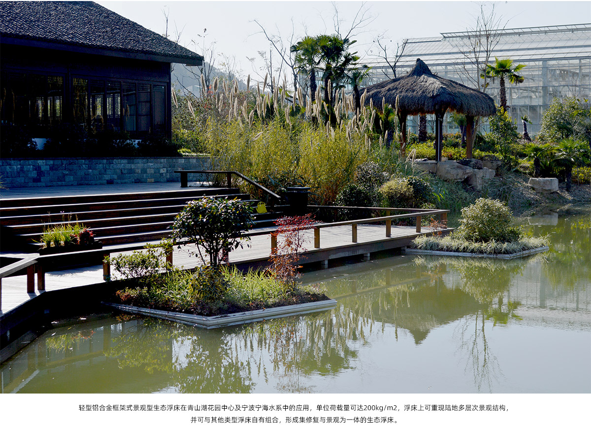 亚洲精品白浆高清久久久久久