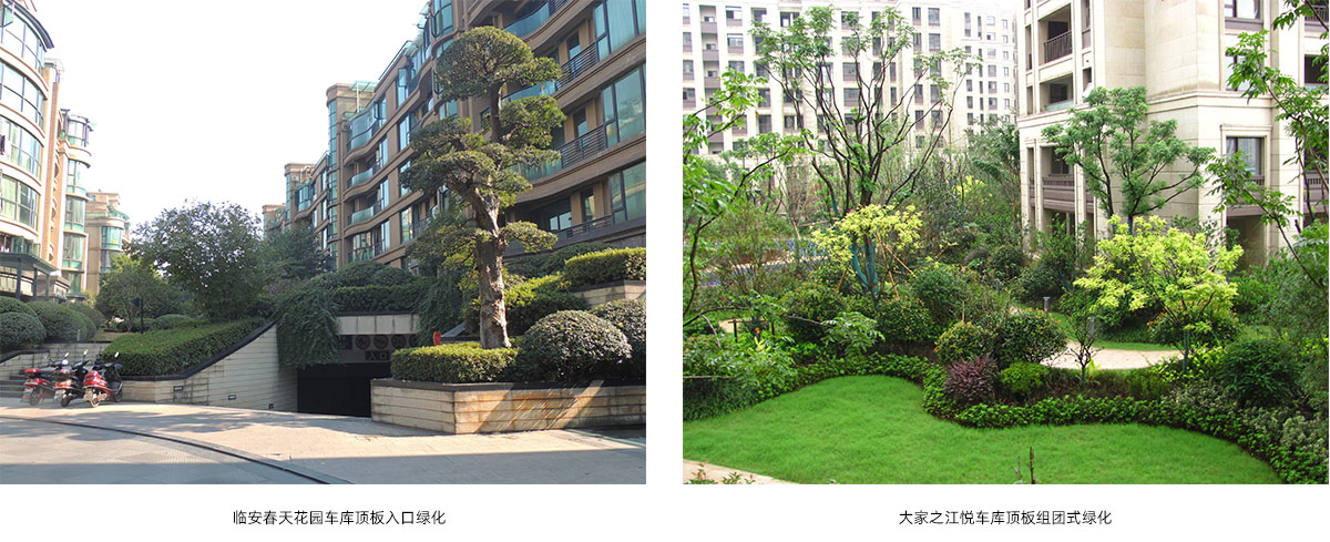 亚洲精品白浆高清久久久久久