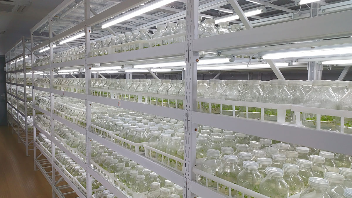 亚洲精品白浆高清久久久久久