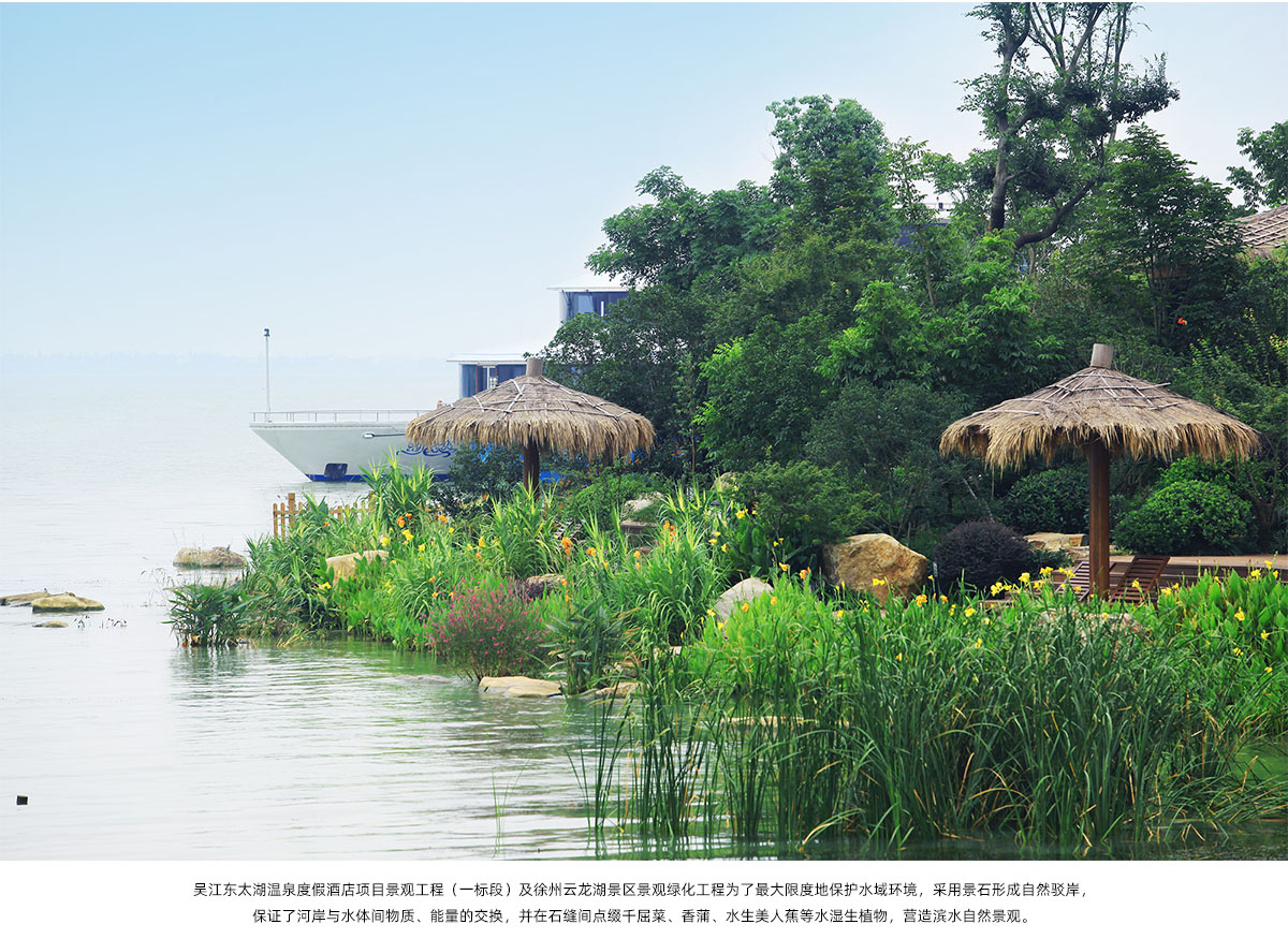 亚洲精品白浆高清久久久久久