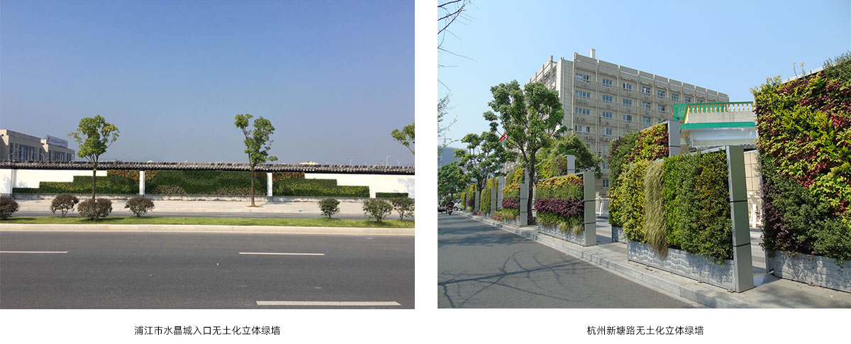 亚洲精品白浆高清久久久久久